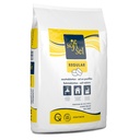 Soft Sel Regular 25KG - Zouttabletten